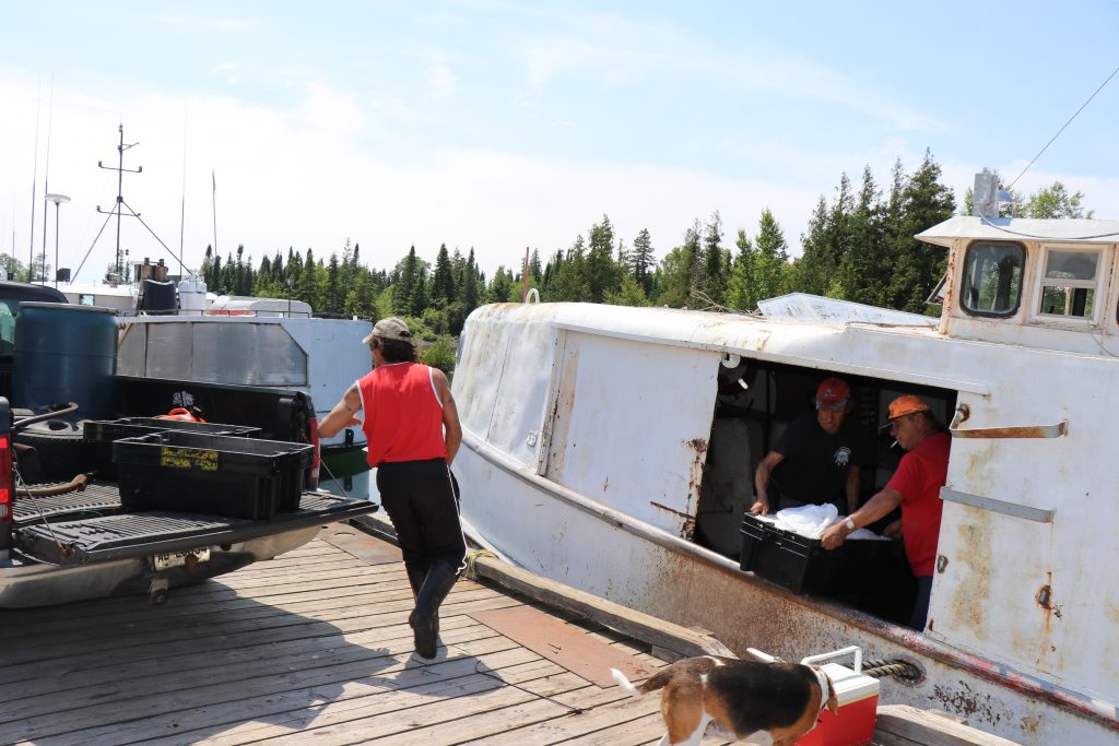 A boat with two people inside moving a bin onto the dock, another person on the dock walking around a truck, all while a dog sniffs a cooler