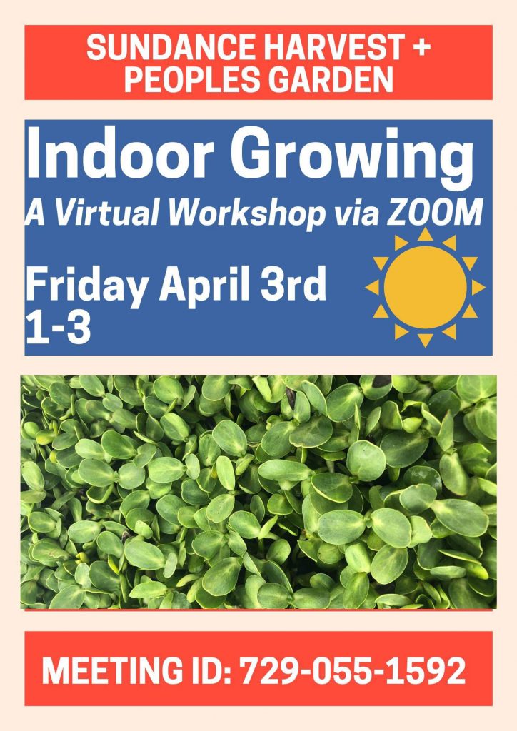 Event poster for a virtual Indoor Growing workshop in 2020