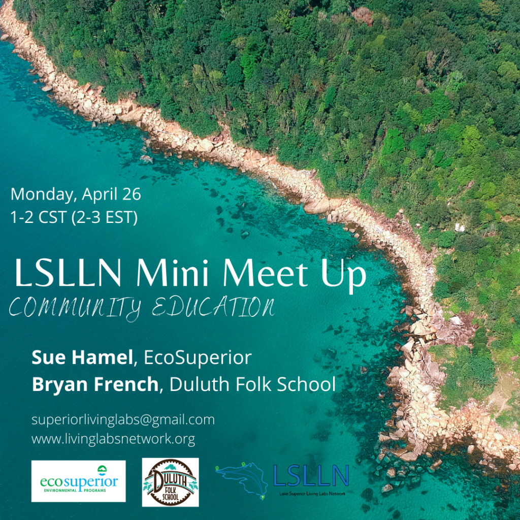 Event Poster for LSLLN Mini Meet-Up: Community Education with date, time, presenters, and contact info