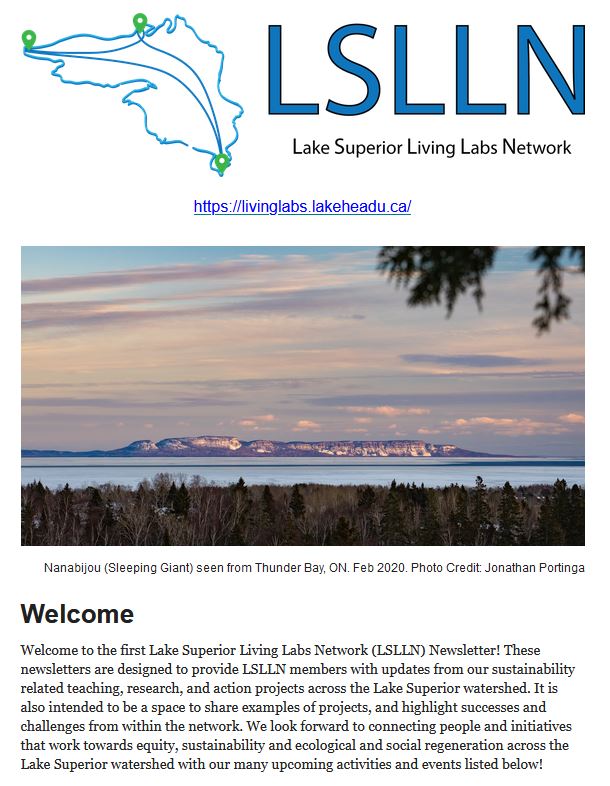 Front page of the LSLLN Newsletter, Volume 1