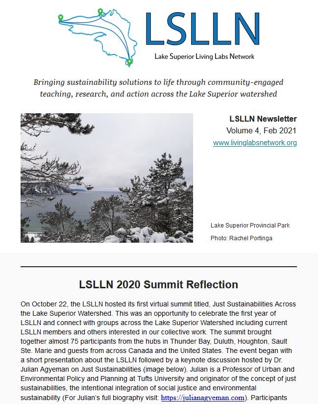 Front page of the LSLLN Newsletter, Volume 4