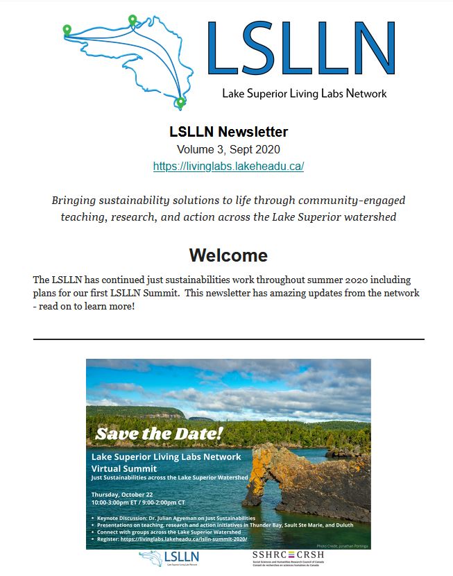 Front page of the LSLLN Newsletter, Volume 3