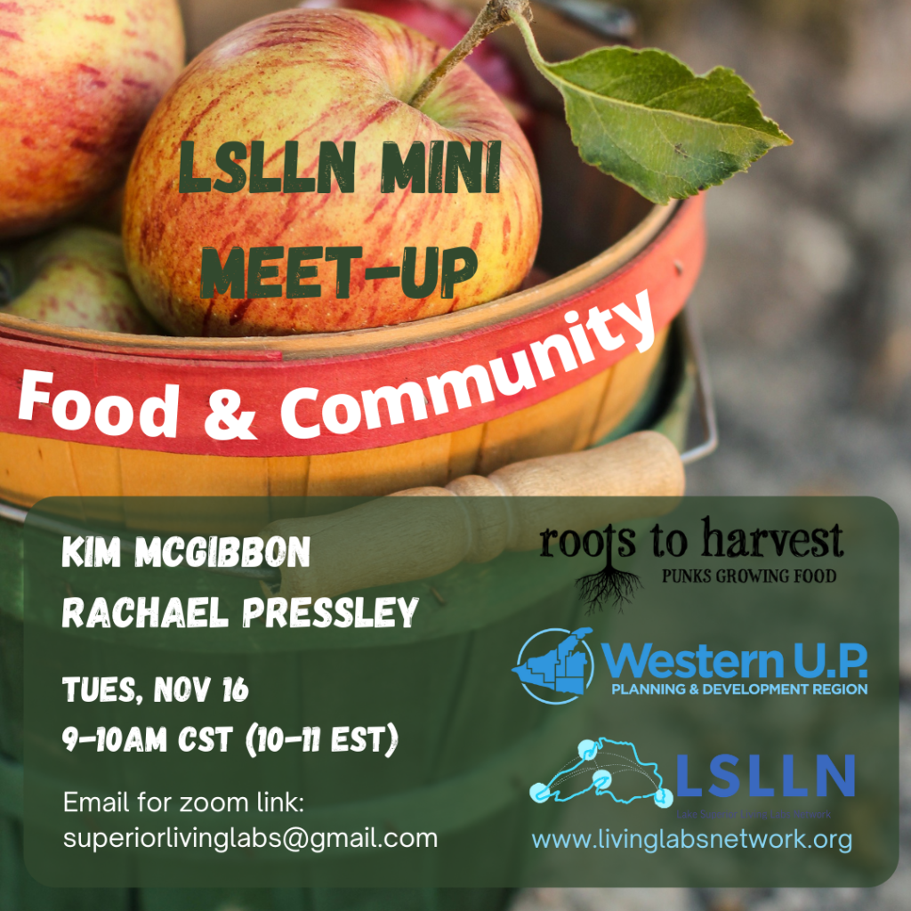 Event Poster for LSLLN Mini Meet-Up: Food and Community with date, time, presenters, and contact info