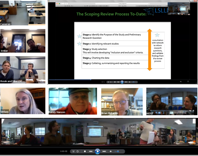 An agglomeration of multiple screen captures from the same event showing approximately 16 participants and a presentation on the scoping review process