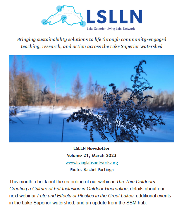 Screen capture of "front page" of LSLLN March 2023 Newsletter