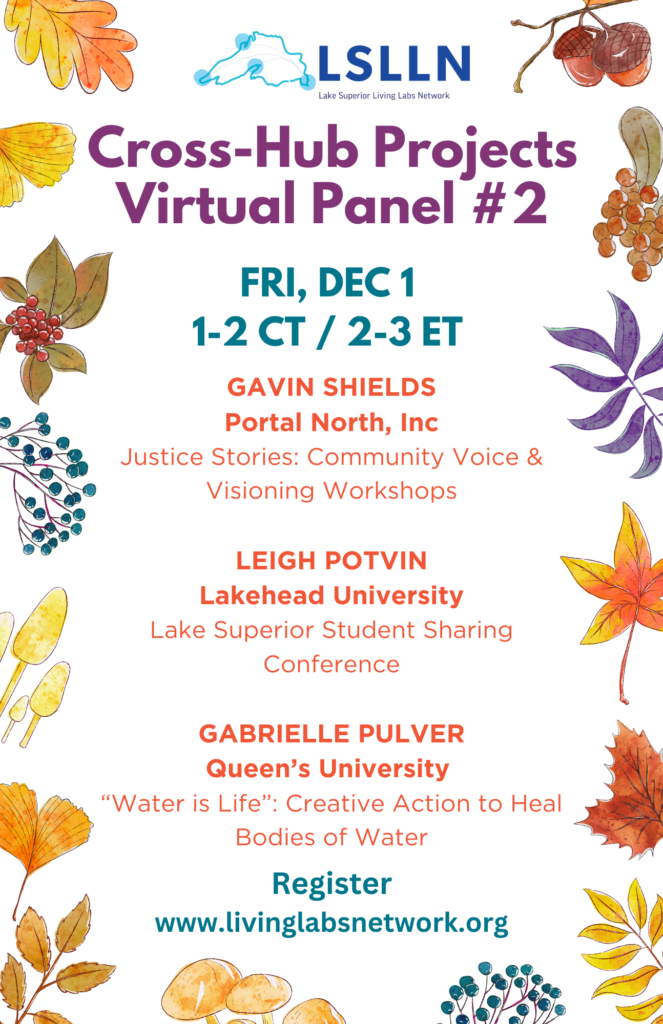 Event poster for Cross-Hub Projects virtual panel #2