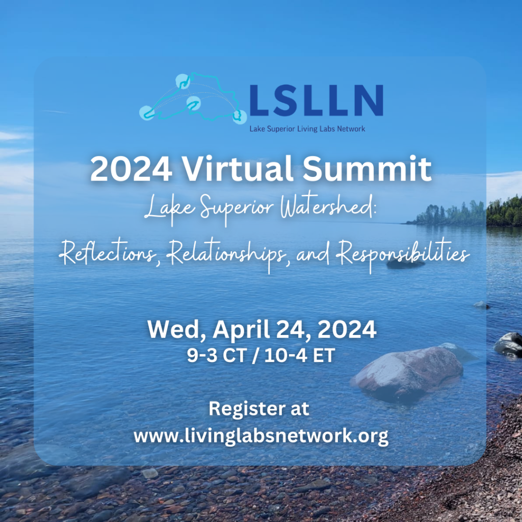 Poster for LSLLN Summit on April 24, 2024