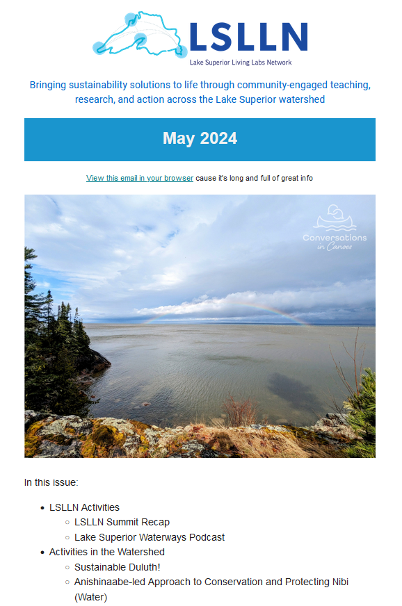 Screenshot of front page of LSLLN May 2024 newsletter