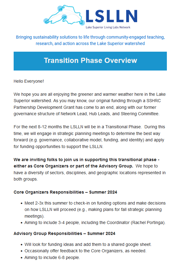 Screenshot of Transition Phase Overview Newsletter