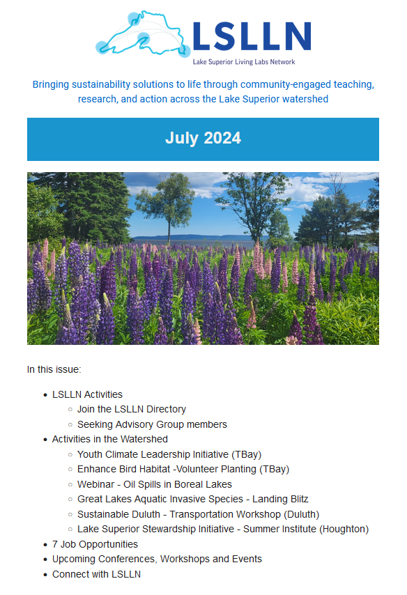 Screenshot of front page of LSLLN July newsletter showing lupines in foreground with Lake Superior behind