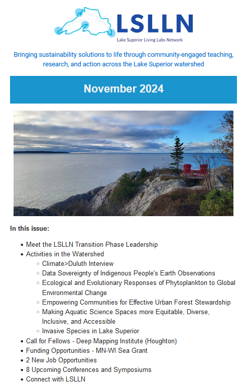 screenshot of Nov 2024 newsletter front page