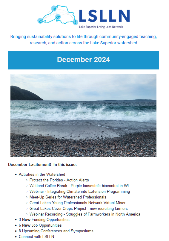 screenshot of front page of Dec 2024 newsletter