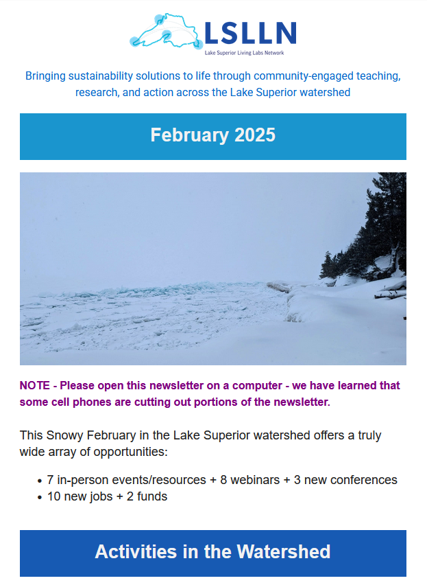 Screenshot of front page of February 2025 newsletter