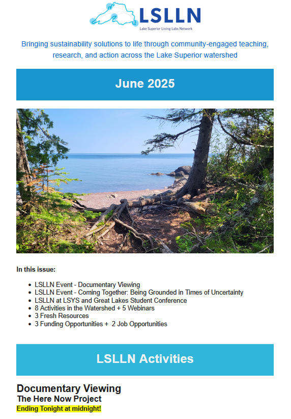 Screenshot of June 2025 newsletter