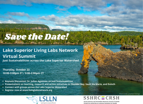 Save the Date for LSLLN Virtual 2020 Summit with date, time, title, description, and registration link